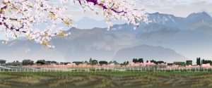 180215-japanese-artist-excel