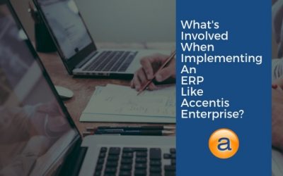 Implementing an ERP System into Your Business