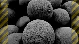 rockmelon-warning-lysteria-outbreak