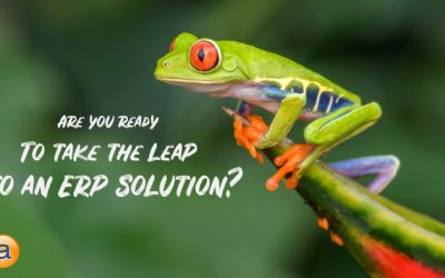 Are You New to ERP Software?