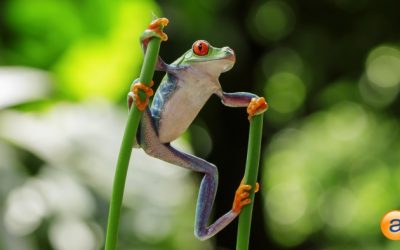 How to Keep Your Employees Happy at Work