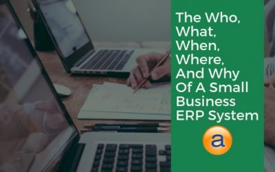 The Who, What, When, Where and Why of a Small Business ERP System