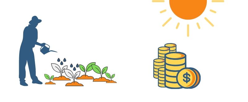 plant-nursery-forecasting-for-success-making-money