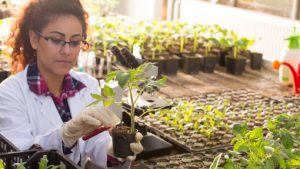 plants-grow-science-lab-erp-solution